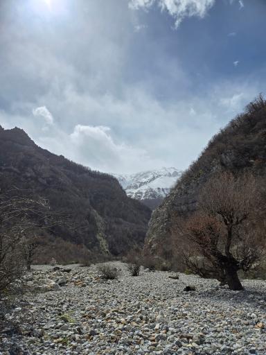 عکس دشت دریاسر