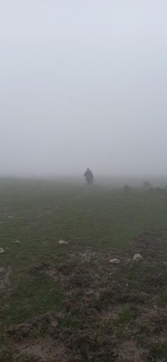 عکس دشت دریاسر