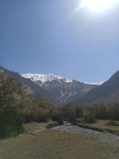 عکس دشت دریاسر