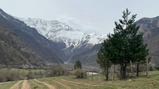 عکس دشت دریاسر