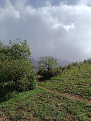 عکس دشت دریاسر