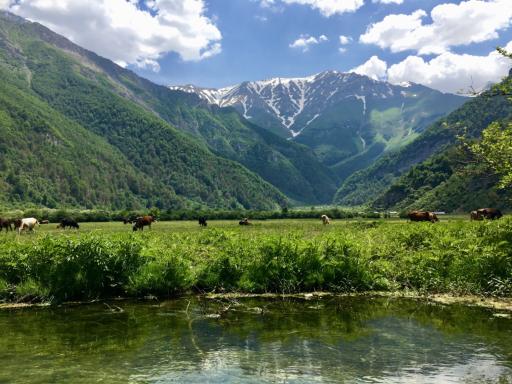 عکس دشت دریاسر