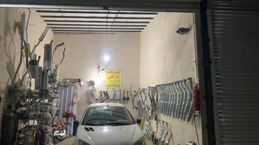 عکس اگزوزسازی گل آقایی