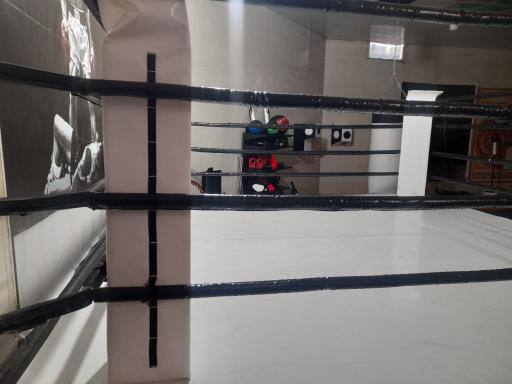عکس باشگاه بوکس و رزمی مشت طلایی