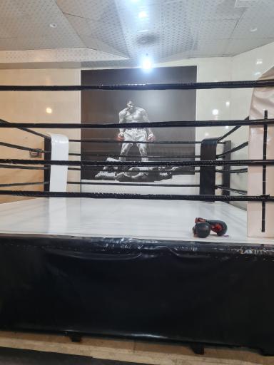 عکس باشگاه بوکس و رزمی مشت طلایی