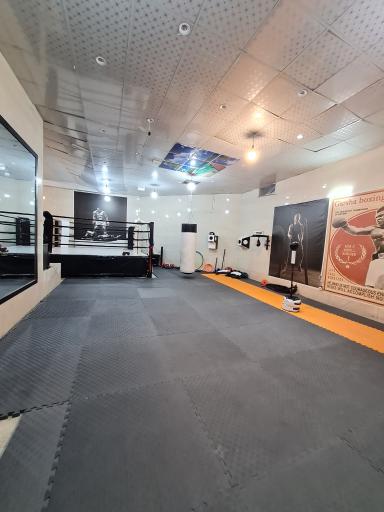 عکس باشگاه بوکس و رزمی مشت طلایی