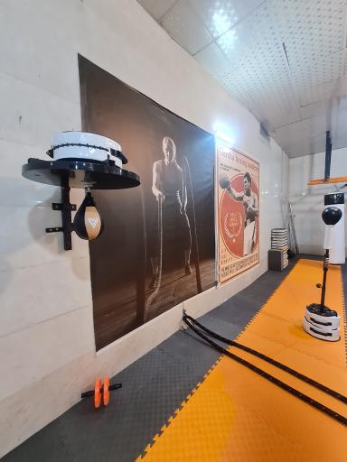 عکس باشگاه بوکس و رزمی مشت طلایی