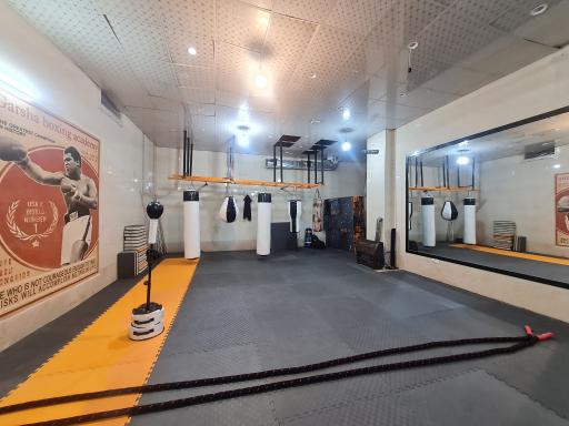 عکس باشگاه بوکس و رزمی مشت طلایی