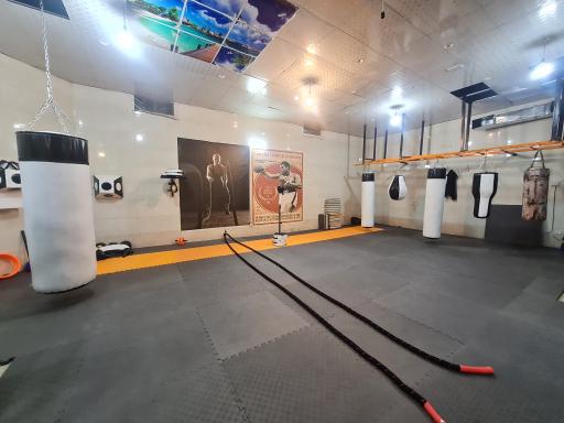 عکس باشگاه بوکس و رزمی مشت طلایی