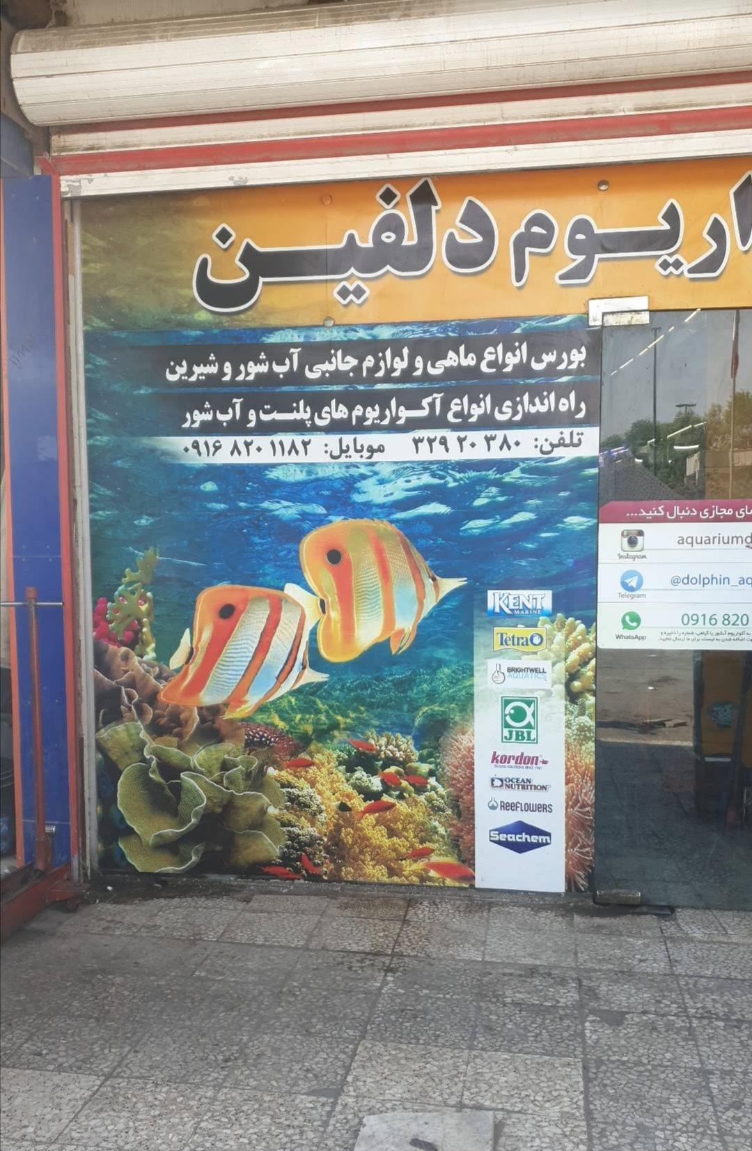 عکس آکواریوم دلفین اهواز قناد