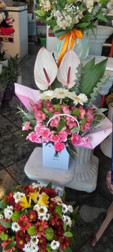 عکس گلفروشی آنلاین رد رز