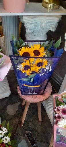 عکس گلفروشی آنلاین رد رز