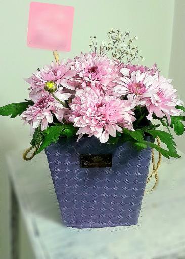 عکس گلفروشی آنلاین رد رز