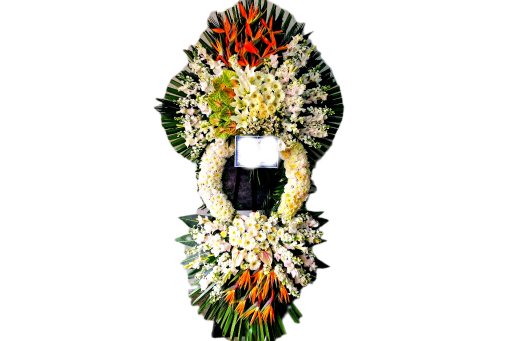 عکس گلفروشی آنلاین رد رز