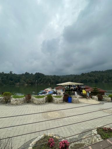 عکس پارک جنگلی الیمالات