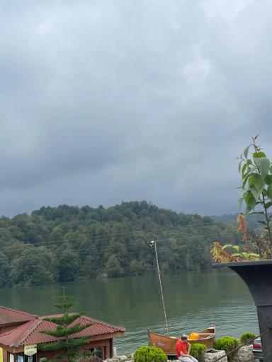 عکس پارک جنگلی الیمالات