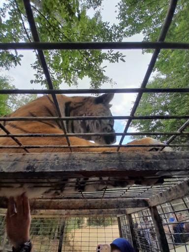 عکس پارک جنگلی الیمالات