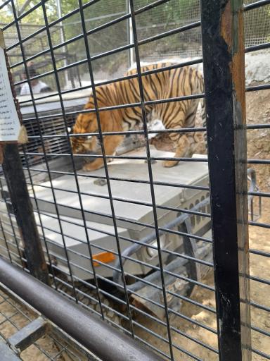 عکس پارک جنگلی الیمالات