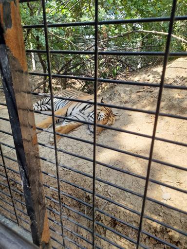 عکس پارک جنگلی الیمالات