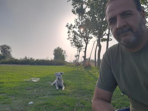 عکس درب  پارک جنگلی نور