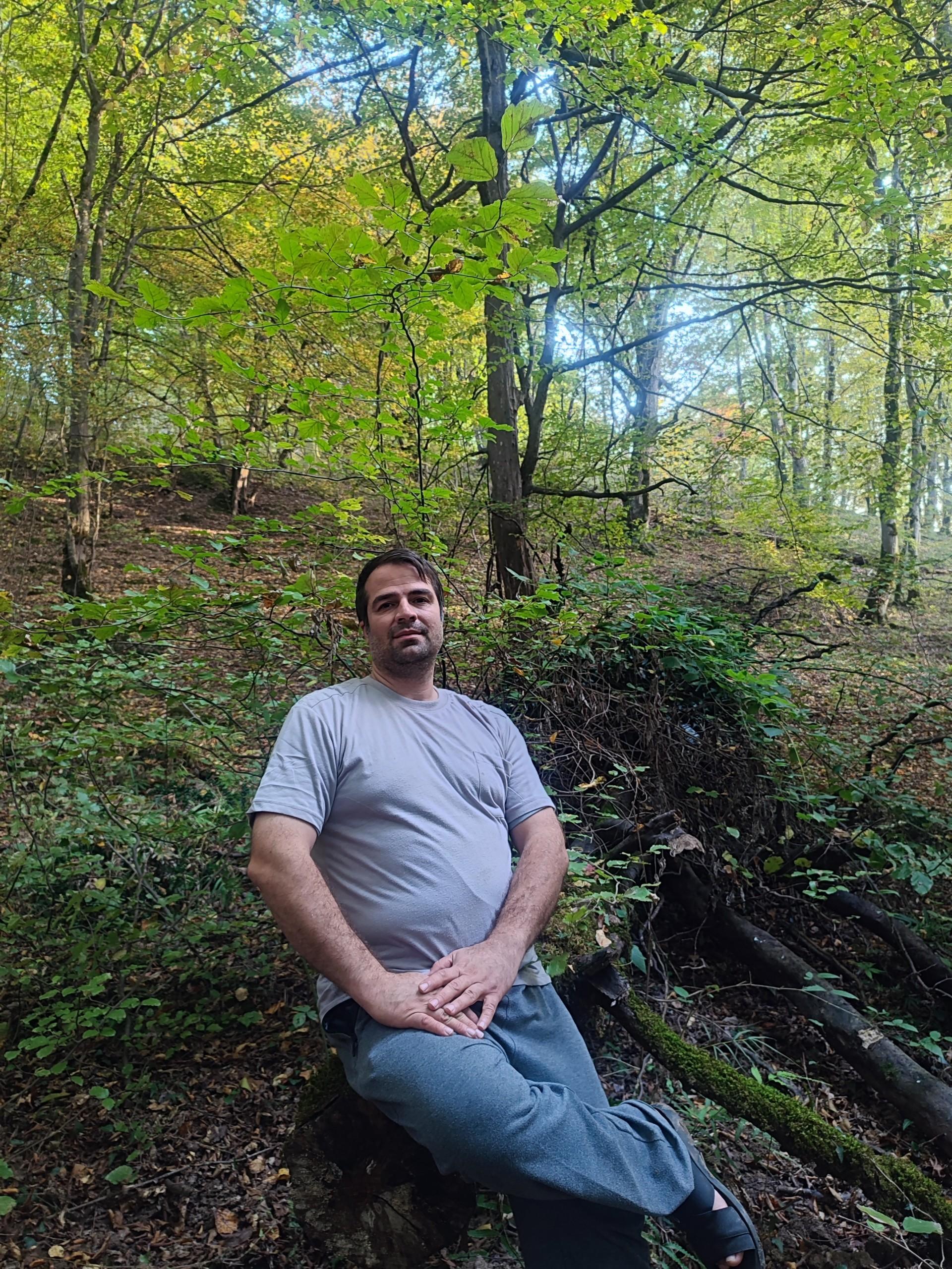 عکس پارک جنگلی الیمالات