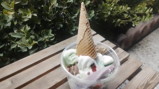 عکس آبمیوه استوا 