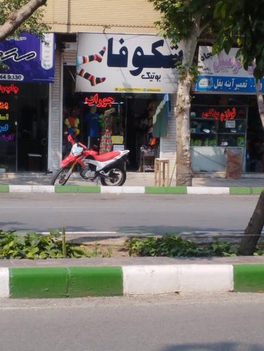 عکس لباس شکوفا