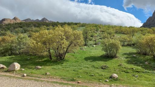 عکس تنگه چالابه