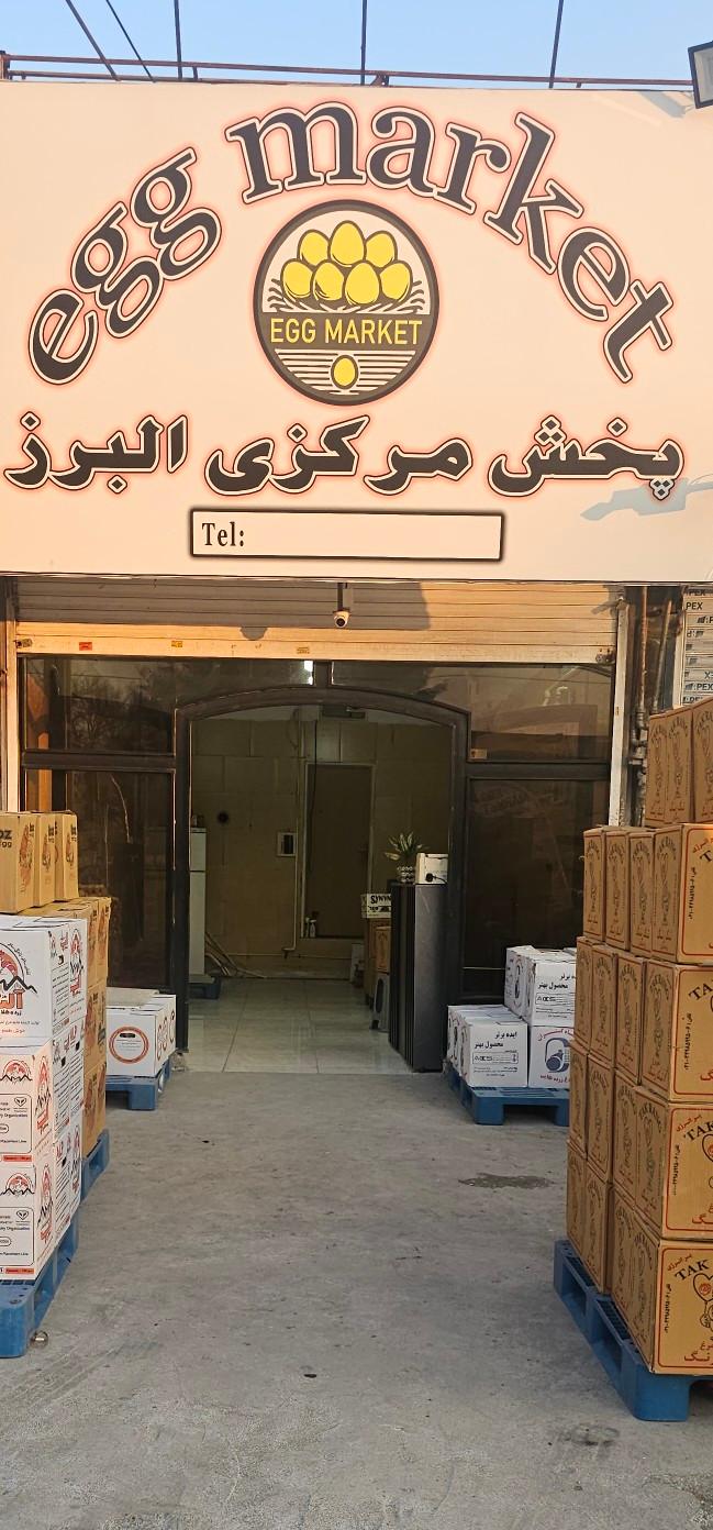 عکس پخش تخم مرغ مرکزی البرز 