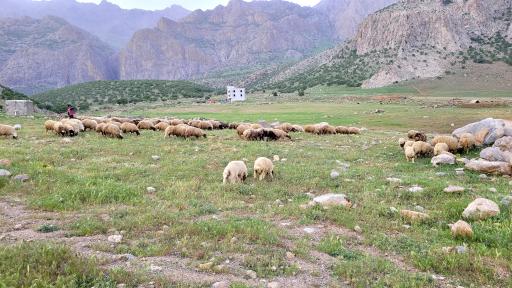 عکس تنگه چالابه