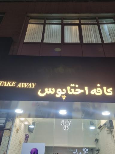 عکس کافه اختاپوس