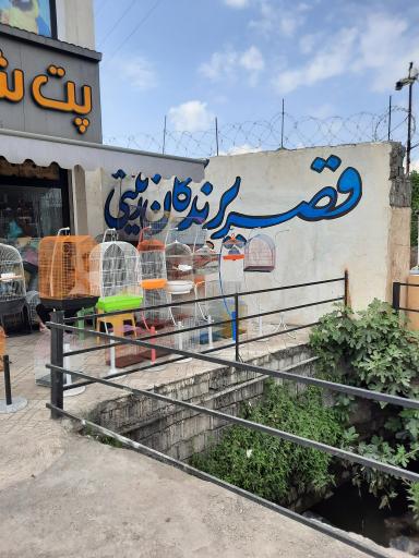 پت شاپ عمران 