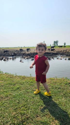 مرکز بازدیدکنندگان تالاب انزلی