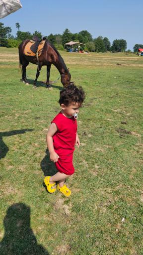 عکس مرکز بازدیدکنندگان تالاب انزلی