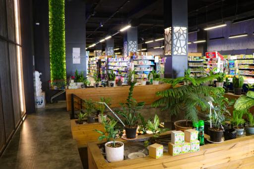 عکس مرکز خرید سولو