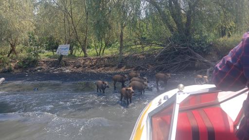 عکس مرکز بازدیدکنندگان تالاب انزلی