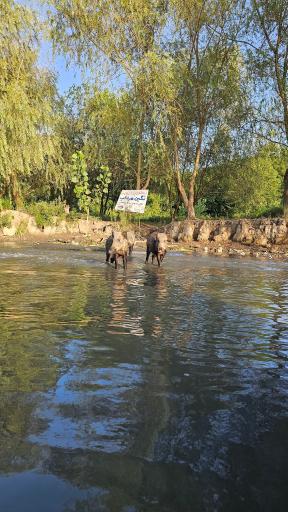عکس مرکز بازدیدکنندگان تالاب انزلی