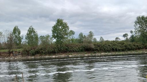 عکس مرکز بازدیدکنندگان تالاب انزلی