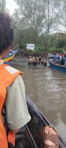 عکس مرکز بازدیدکنندگان تالاب انزلی