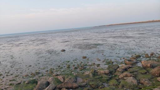 عکس مجموعه غذایی گلدن فود