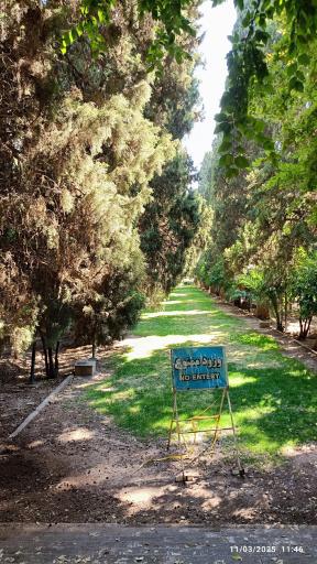 عکس باغ ارم