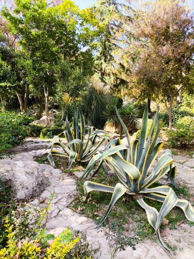 عکس باغ ارم