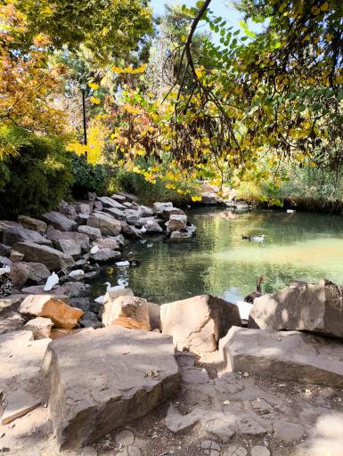 عکس باغ ارم