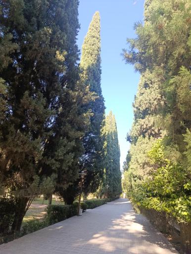 عکس باغ ارم