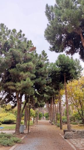 عکس باغ ارم