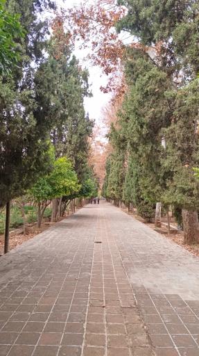 عکس باغ ارم