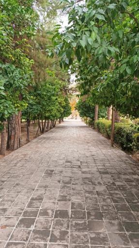 عکس باغ ارم