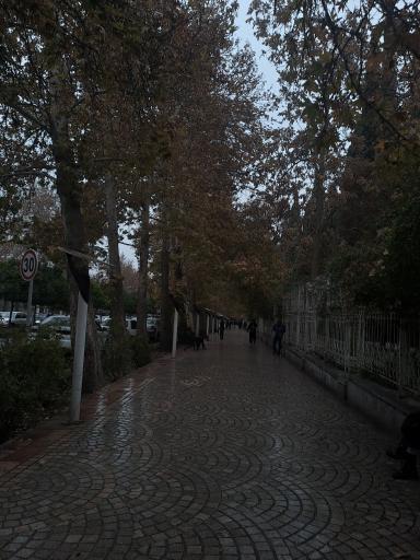 عکس باغ ارم