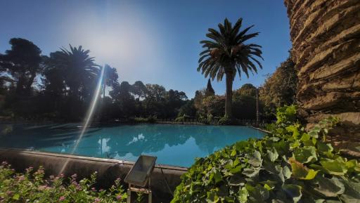 عکس باغ ارم