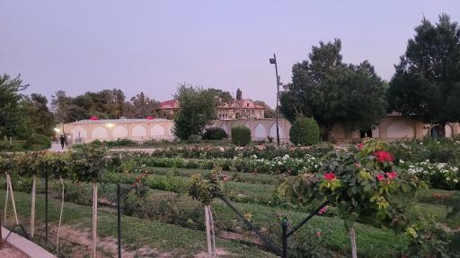 عکس باغ ارم